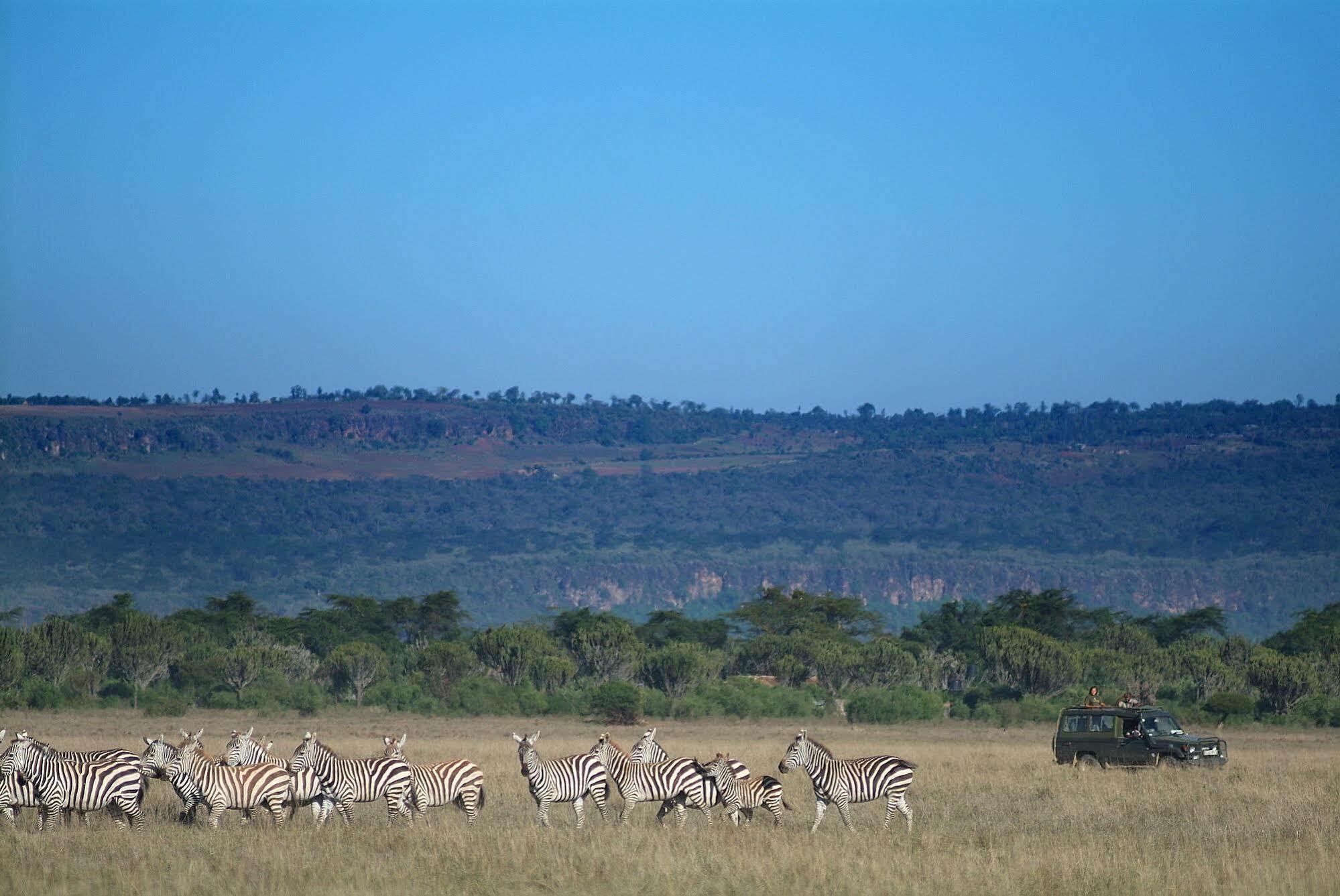 Mbweha Camp Hotel Elmenteita Buitenkant foto